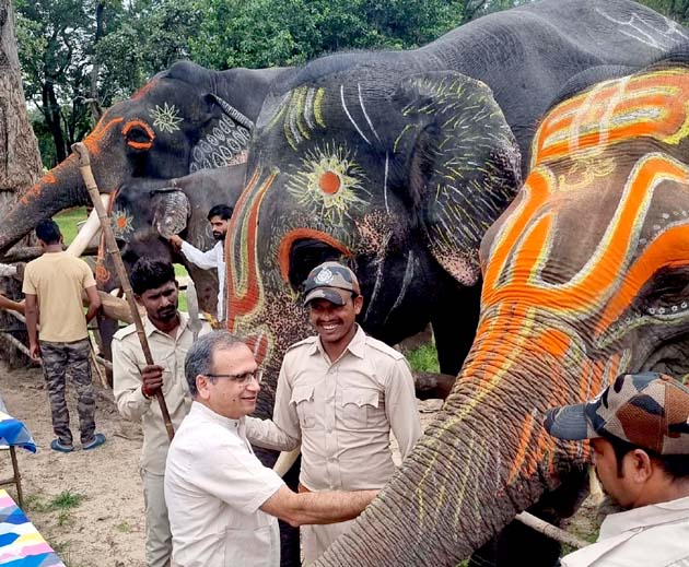 हाथी महोत्सव : हाथियों को सुबह नहलाने के बाद की जाती है मालिश, फिर खाने में परोसते हैं मनपंसद व्यंजन और फल