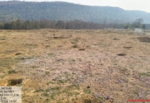 पौधारोपण में ‘पैसों की खेती’! गड्ढों से लेकर फेंसिंग तक हुआ करोड़ों का वारा-न्यारा