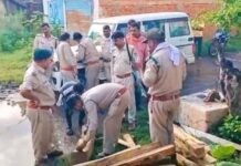 पन्ना: घर में चल रहे अवैध फर्नीचर निर्माण पर वन विभाग ने मारा छापा, 21 नग सागौन चिरान जब्त